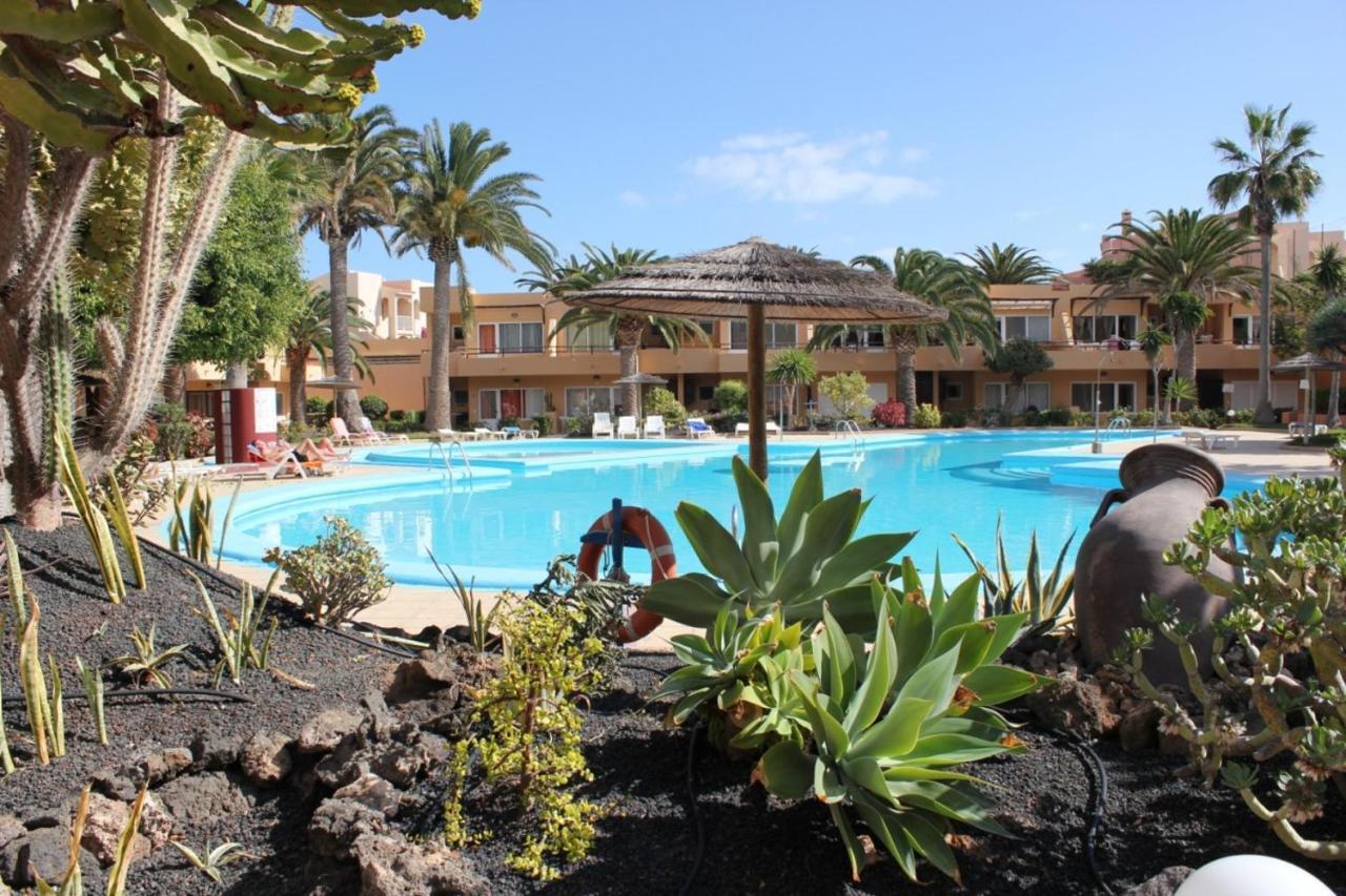 Apartment Papaya Dunes With Pool Corralejo By Holidays Home Eksteriør billede